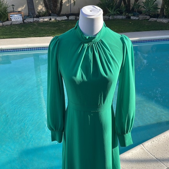 NWOT| Gorgeous green maxi long, sleeve (sheer sleeves) dress | Sz S - Picture 3 of 8